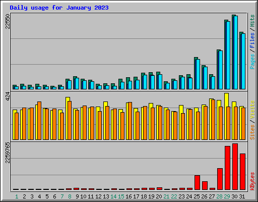 Daily usage for January 2023