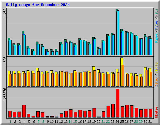 Daily usage for December 2024