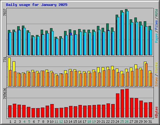 Daily usage for January 2025