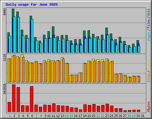 Daily usage for June 2025