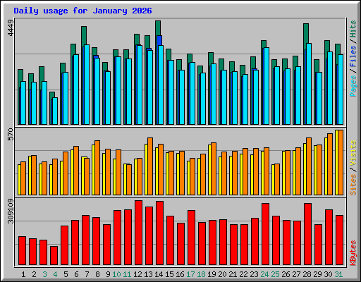Daily usage for January 2026
