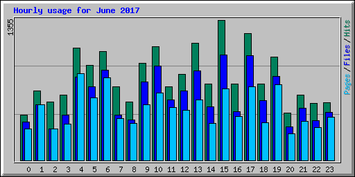 Hourly usage for June 2017