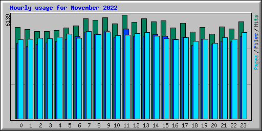 Hourly usage for November 2022