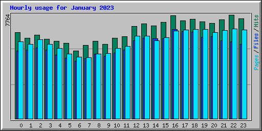 Hourly usage for January 2023