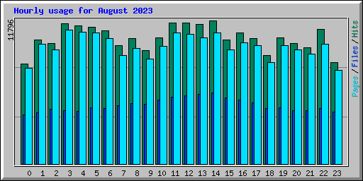 Hourly usage for August 2023
