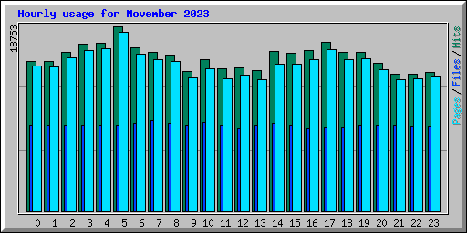Hourly usage for November 2023