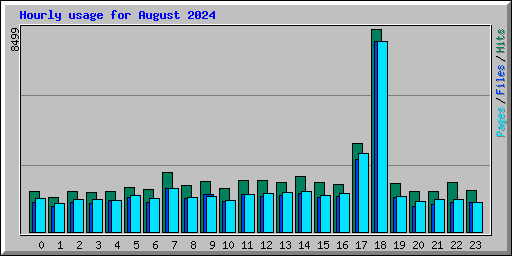 Hourly usage for August 2024