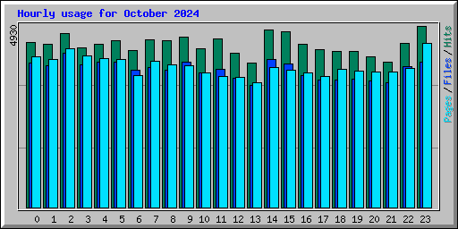 Hourly usage for October 2024