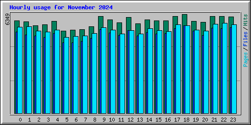 Hourly usage for November 2024