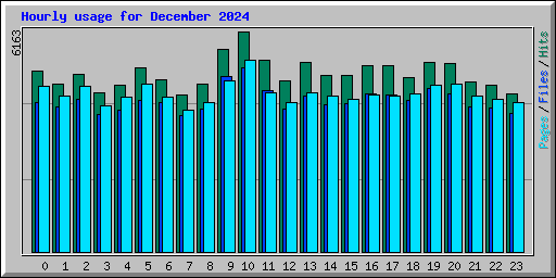 Hourly usage for December 2024