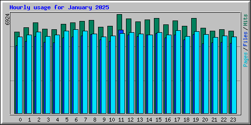 Hourly usage for January 2025