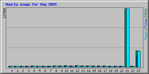 Hourly usage for May 2025
