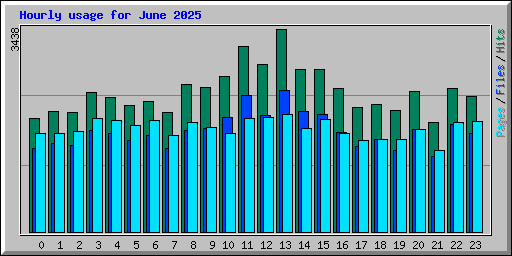 Hourly usage for June 2025