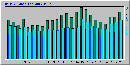 Hourly usage for July 2025