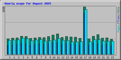 Hourly usage for August 2025