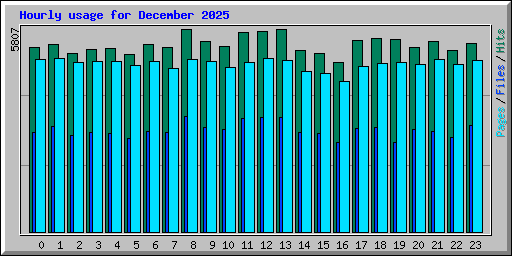 Hourly usage for December 2025