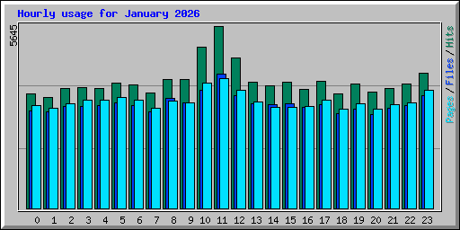 Hourly usage for January 2026