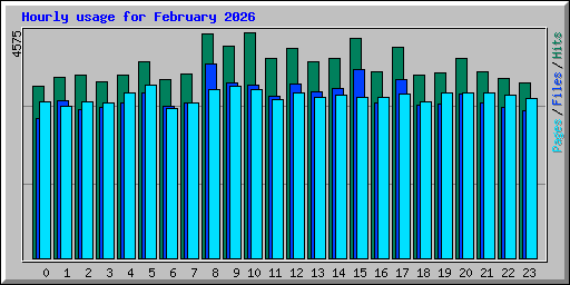 Hourly usage for February 2026