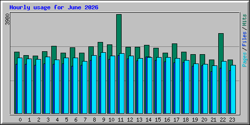 Hourly usage for June 2026
